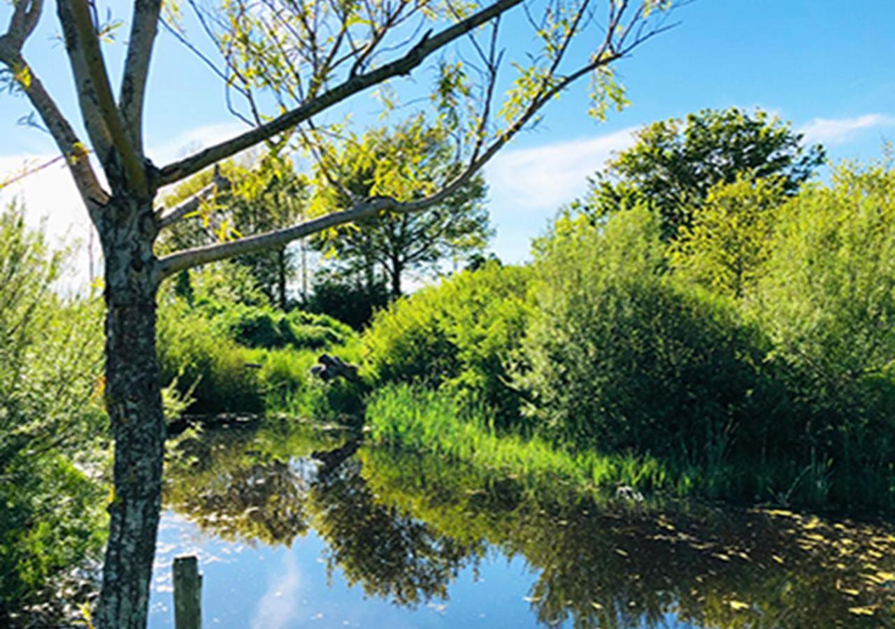 Finca Vrij Scharendijke Zewnętrze zdjęcie